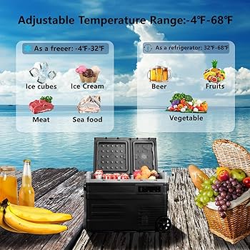 Amazon.com: Alpicool UD65 Portable Wheeled Car Freezer with Dual